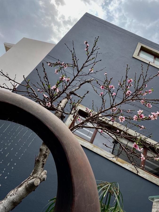 Organic Stay Guesthouse Swakopmund Ngoại thất bức ảnh